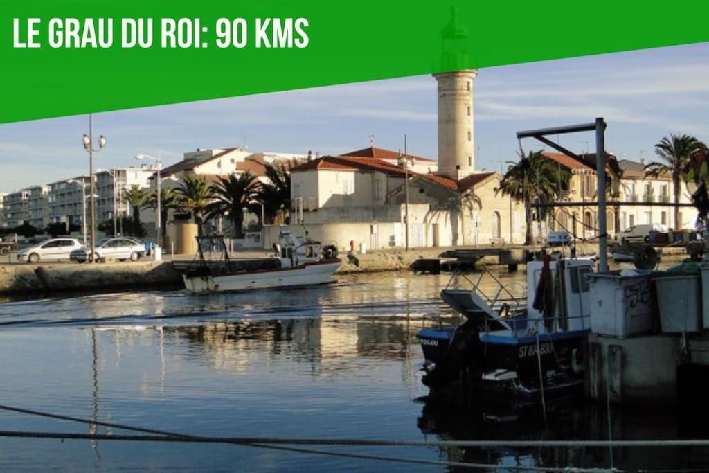 Le Figuier - Clim - Wifi Daire Villeneuve-lès-Avignon Dış mekan fotoğraf