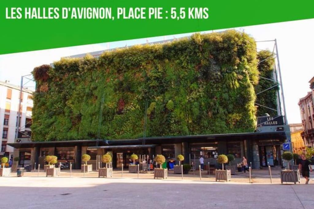 Le Figuier - Clim - Wifi Daire Villeneuve-lès-Avignon Dış mekan fotoğraf